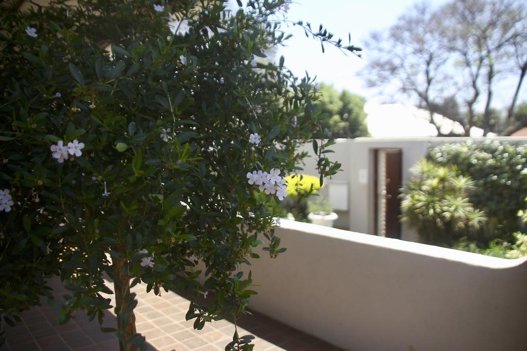 Melville Manor Guest House Йоханнесбург Экстерьер фото